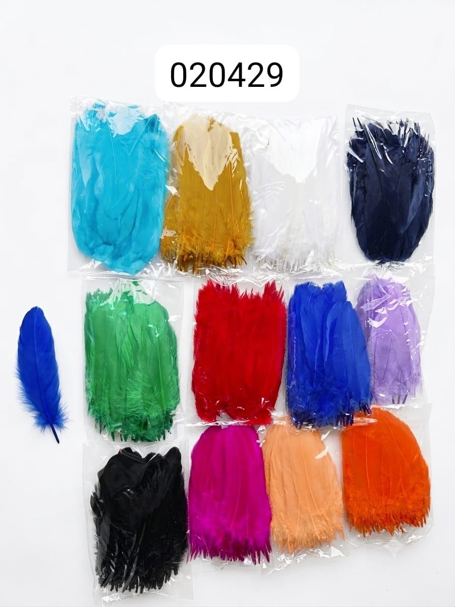 Pluma 16 Centimetros (6 Und)