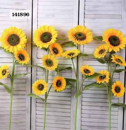Vara De Girasol X 5 (Und)