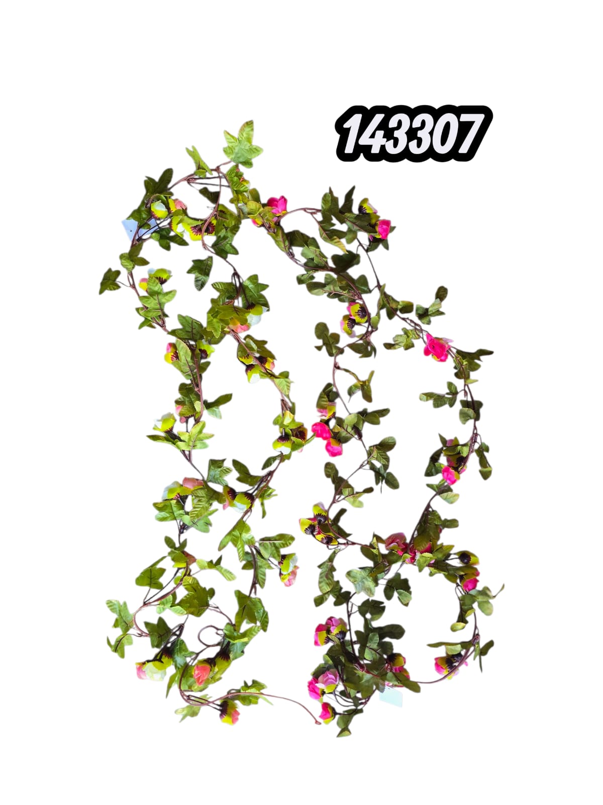 Rosita En Boton 2.40 Mts 42 Flores (Und)