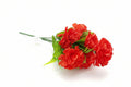 Ramo de Clavel (7 Cabezas Ramo)