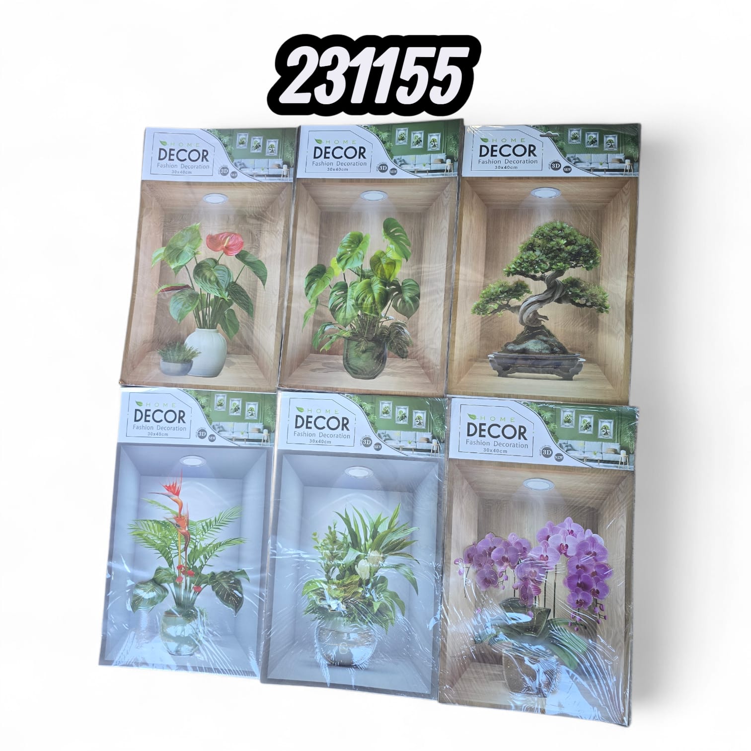 Poster De Pared Plantas 3D (Und)