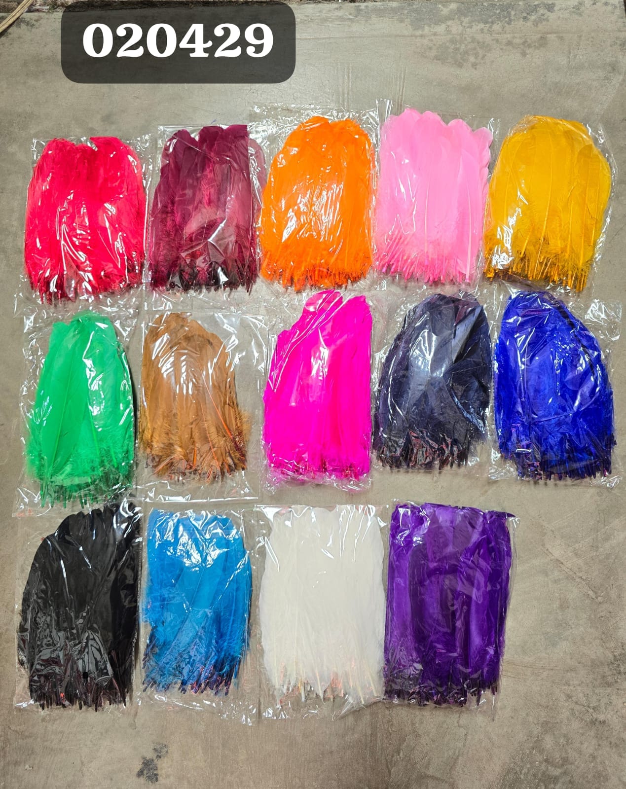 Pluma 16 Centimetros (6 Und)